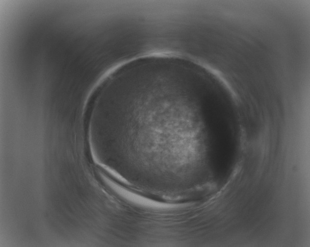 X0000082991319200702081824