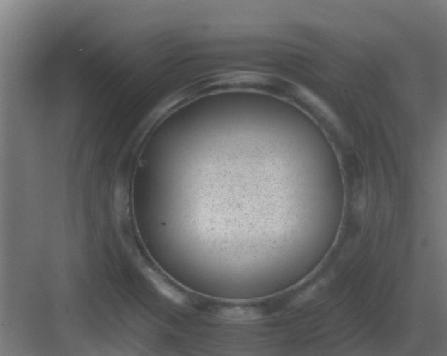 X0000082991321200702081824