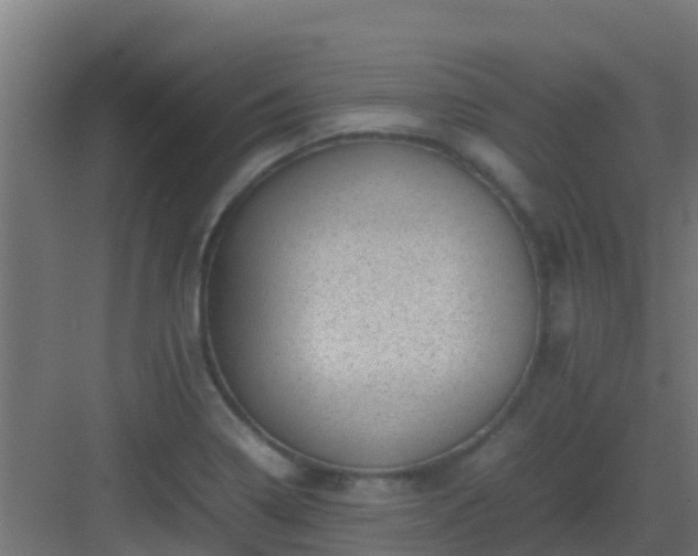 X0000082991322200702081824