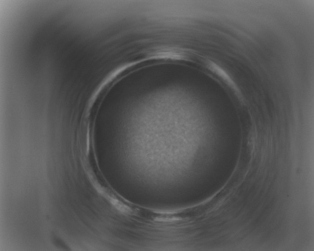 X0000082991323200702081824