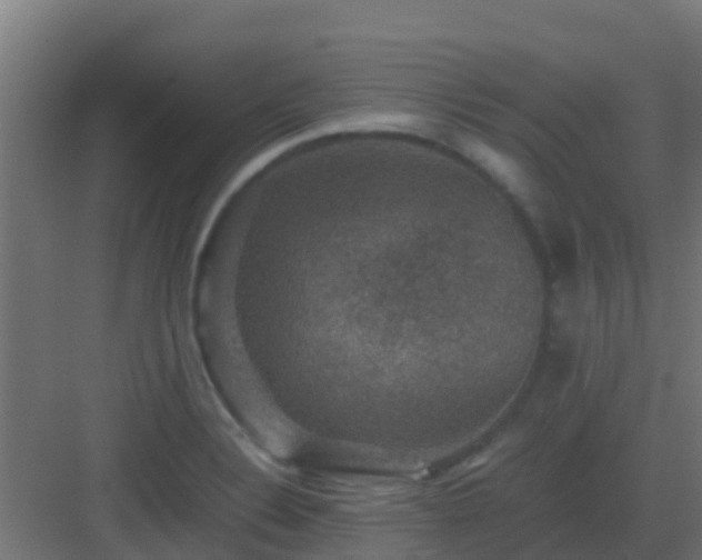 X0000082991324200702081824