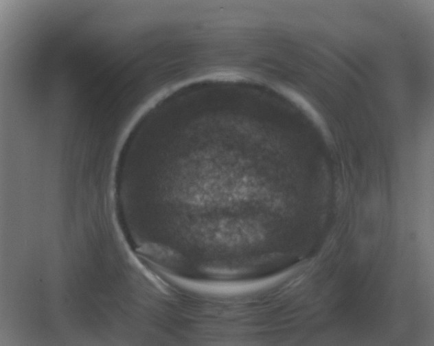 X0000082991327200702081824