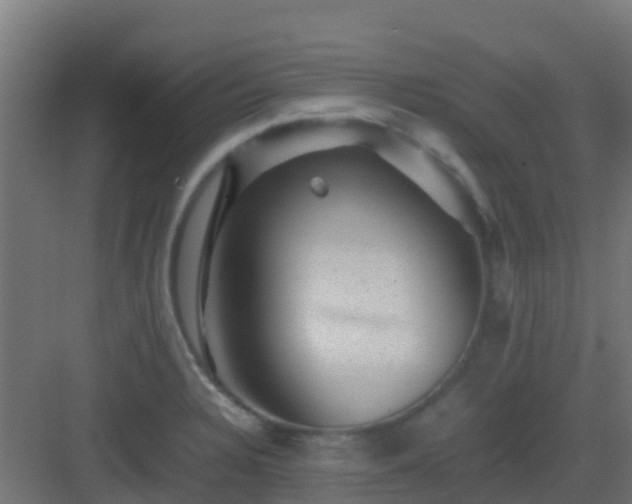 X0000082991328200702081824