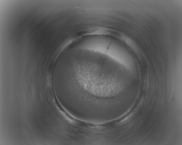 X0000082991329200702081824