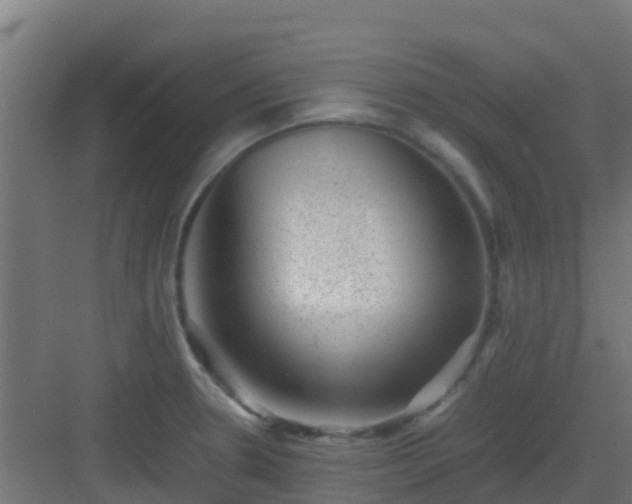 X0000082991330200702081824