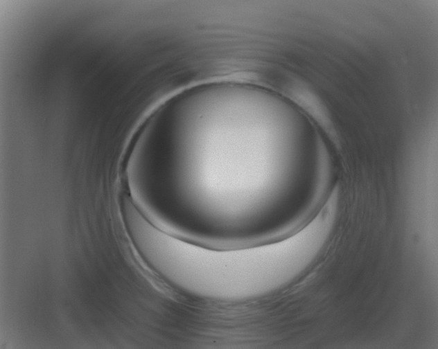 X0000082991332200702081824