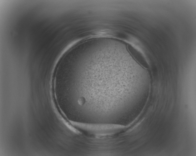 X0000082991333200702081824