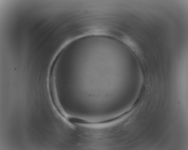 X0000082991334200702081824