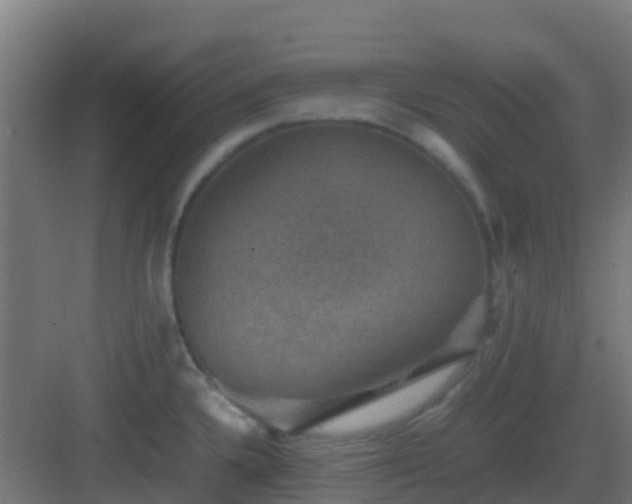 X0000082991336200702081824