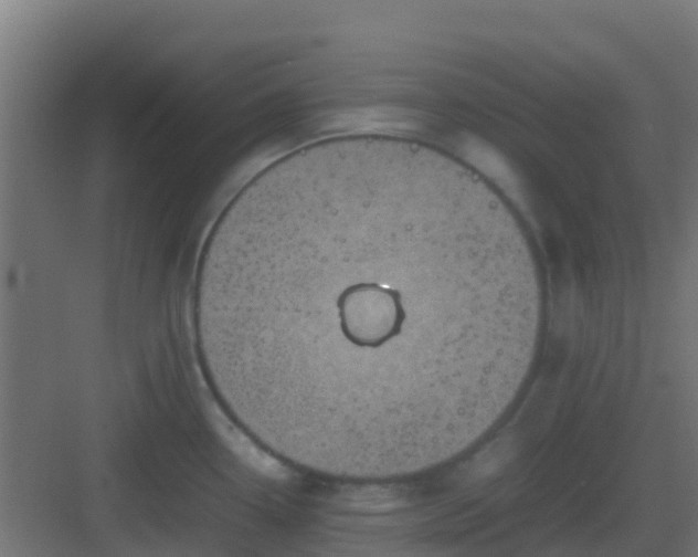 X0000082991338200702081824