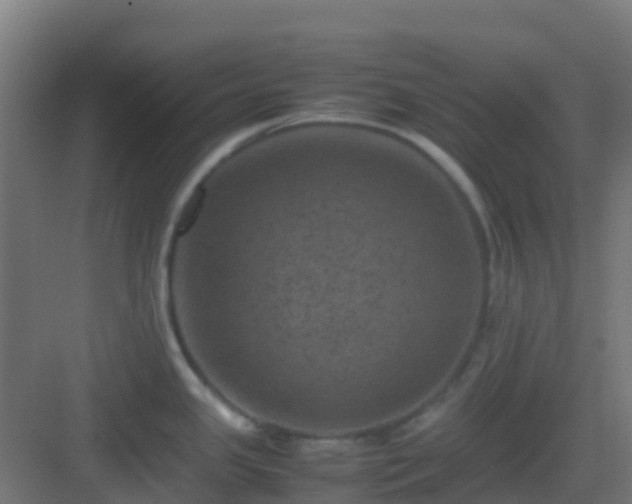 X0000082991341200702081824