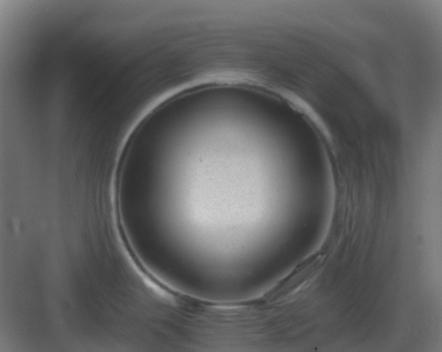 X0000082991343200702081824