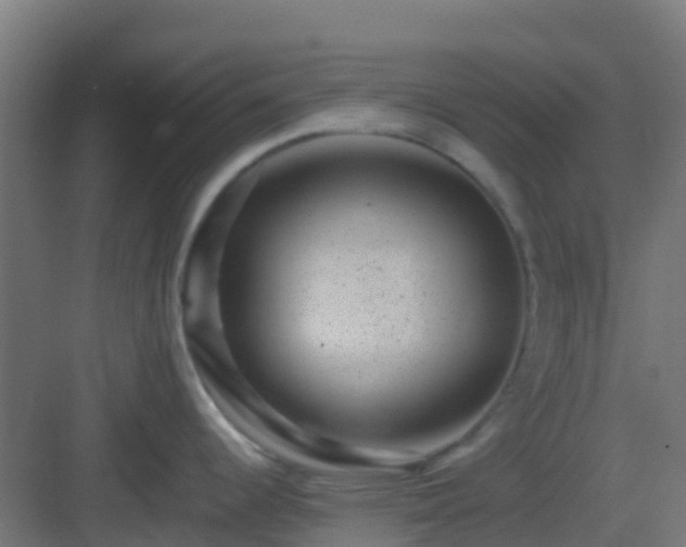 X0000082991344200702081824