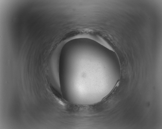 X0000082991345200702081823