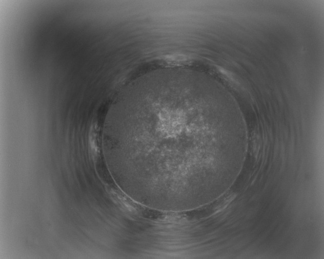 X0000082991346200702081823