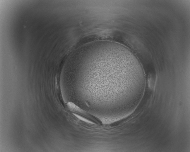 X0000082991347200702081823