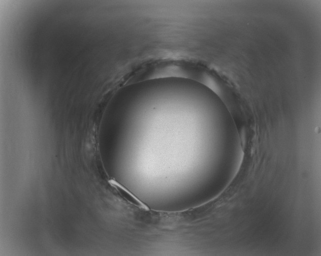 X0000082991349200702081823