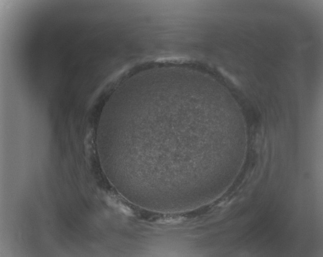 X0000082991351200702081823