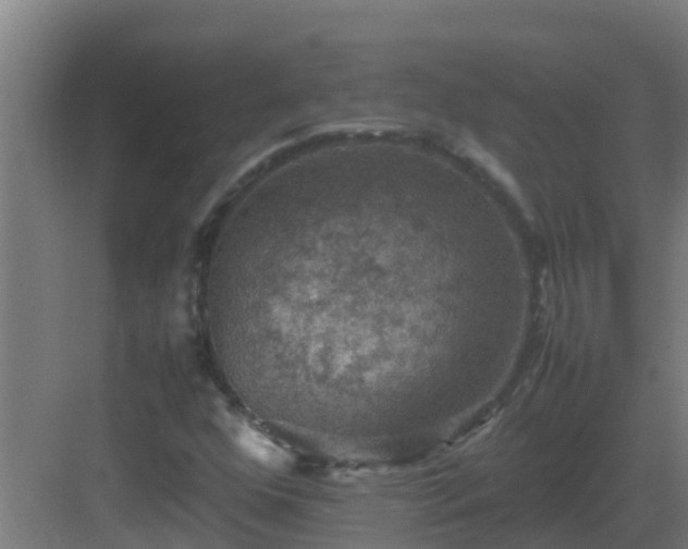 X0000082991352200702081823