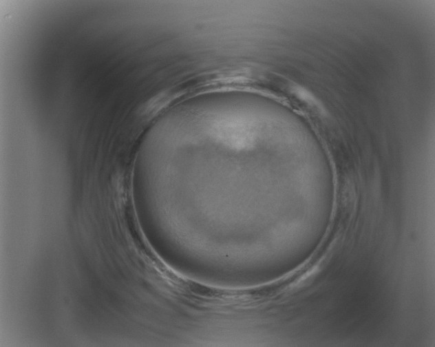 X0000082991353200702081823