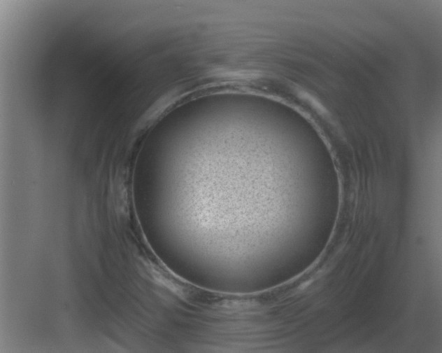 X0000082991354200702081823