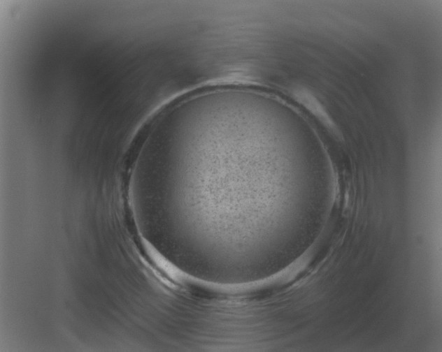 X0000082991356200702081823