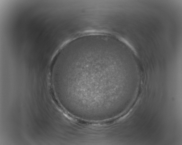 X0000082991357200702081823