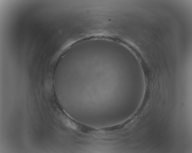 X0000082991359200702081823