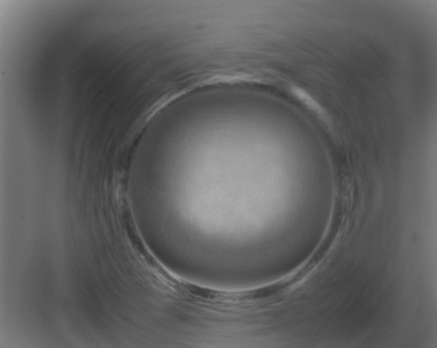 X0000082991361200702081823