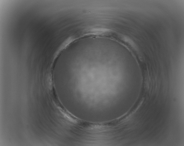 X0000082991362200702081823