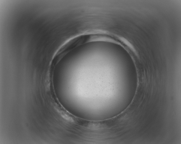 X0000082991364200702081823