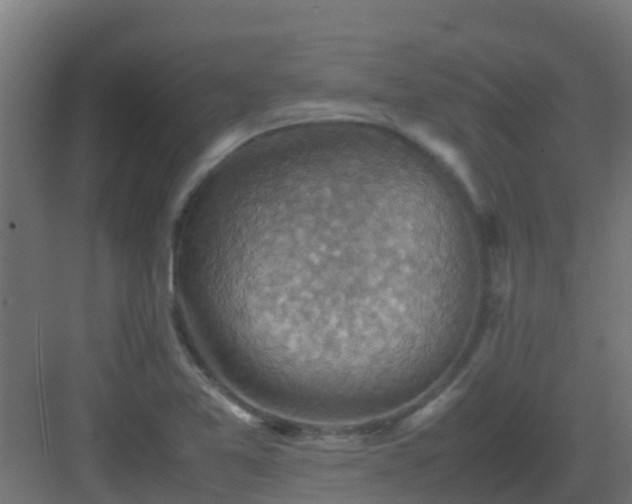 X0000082991365200702081823