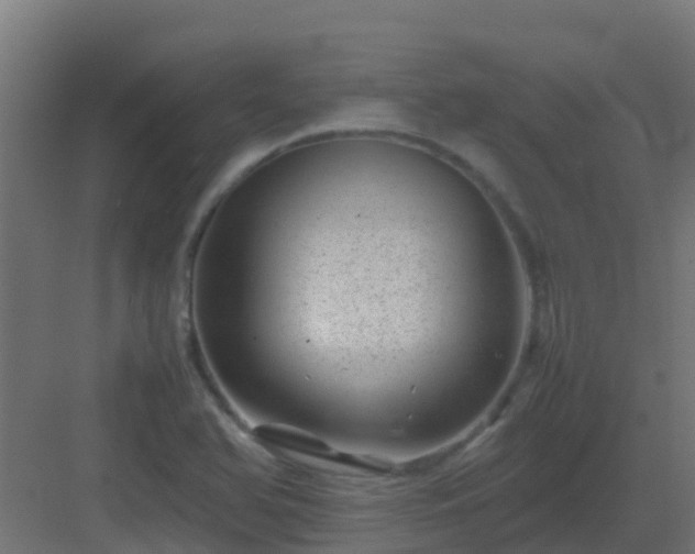 X0000082991366200702081823