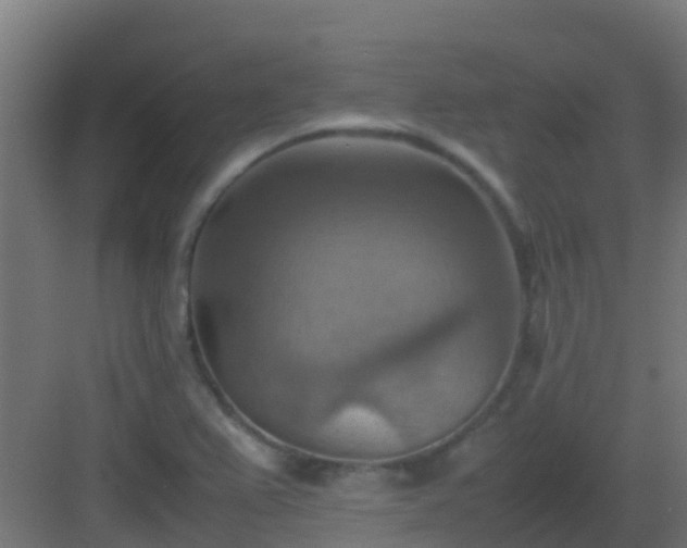 X0000082991367200702081823