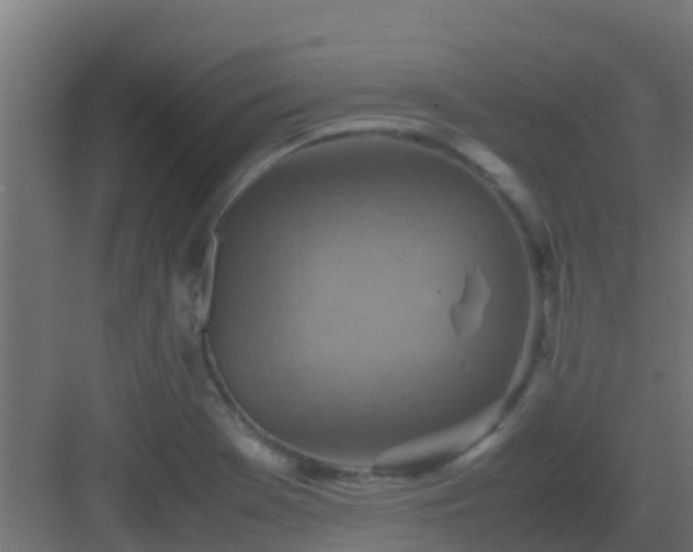 X0000082991369200702081823