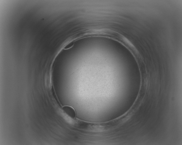 X0000082991370200702081823