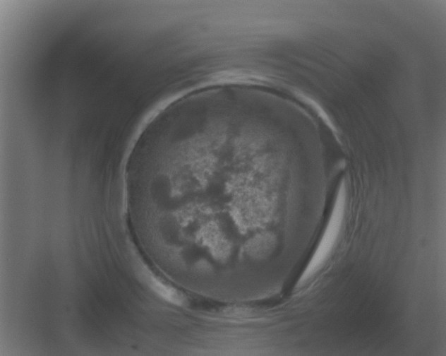 X0000082991371200702081823