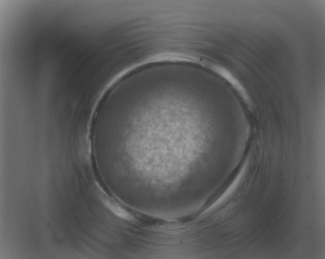 X0000082991372200702081823