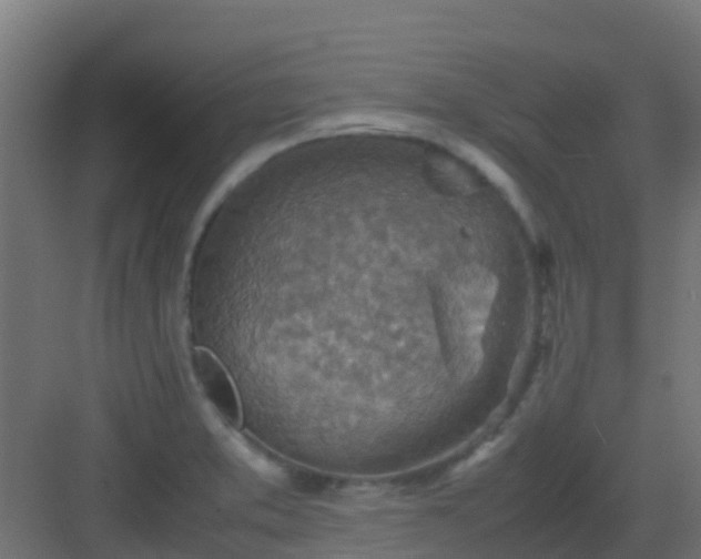 X0000082991373200702081823