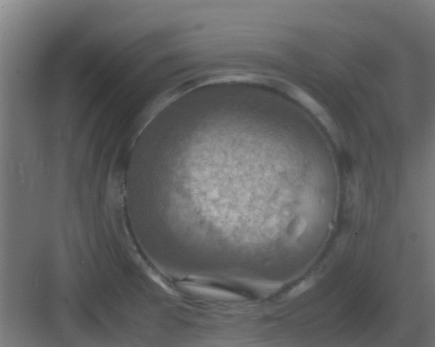 X0000082991377200702081823