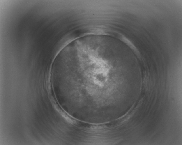 X0000082991378200702081823