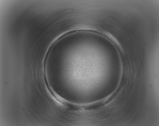 X0000082991380200702081823