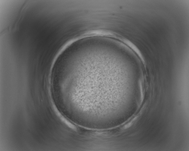 X0000082991381200702081823