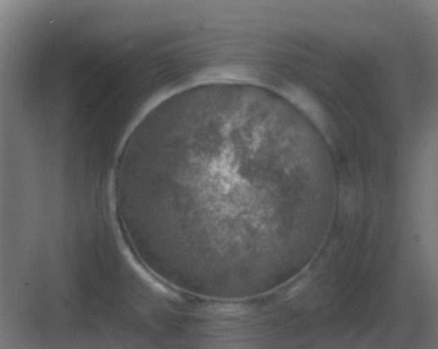 X0000082991382200702081823