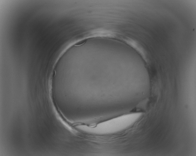 X0000082991383200702081823