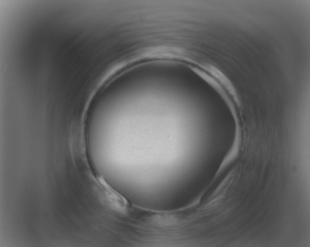 X0000082991384200702081823