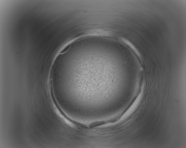 X0000082991387200702081823