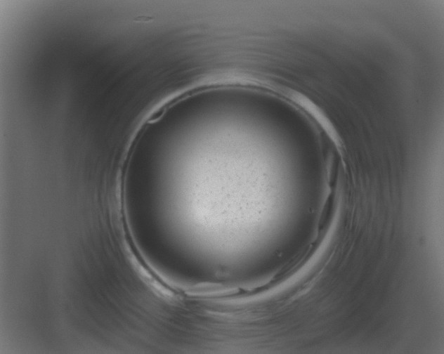 X0000082991388200702081823