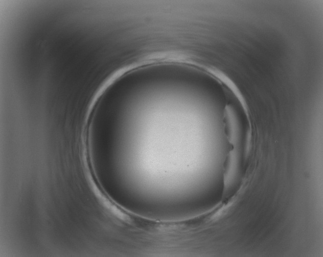 X0000082991389200702081823