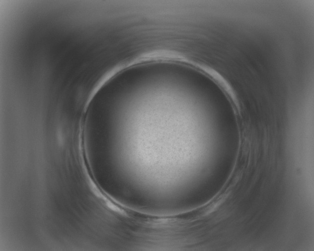 X0000082991390200702081823